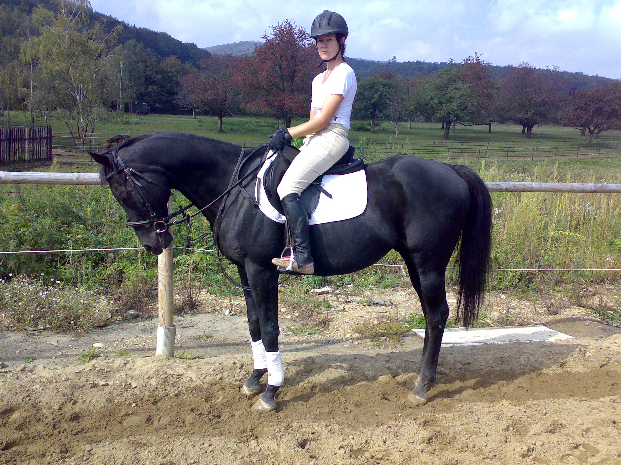14092007372.jpg